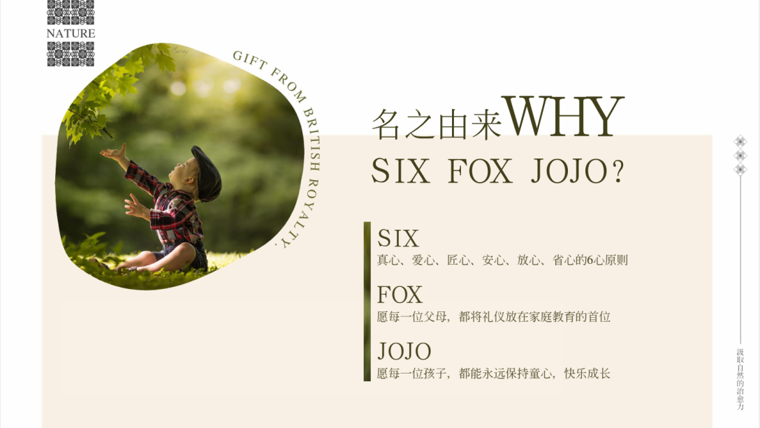 【品牌设计】six fox jojo品牌视觉方案展示(图3)